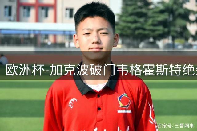 欧洲杯-加克波破门韦格霍斯特绝杀 荷兰2-1波兰