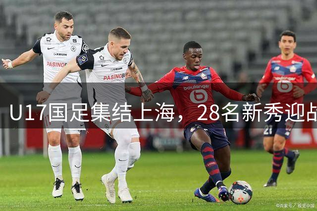 U17国足集结上海，28名新秀迎战欧洲青训豪门